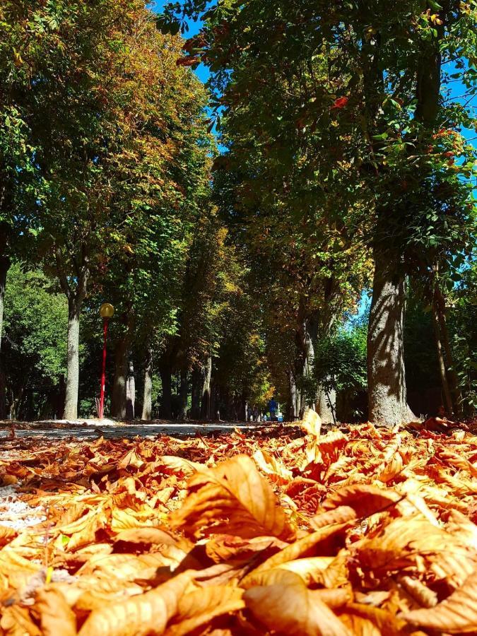 Il Gabbiano Giallo Fano Εξωτερικό φωτογραφία
